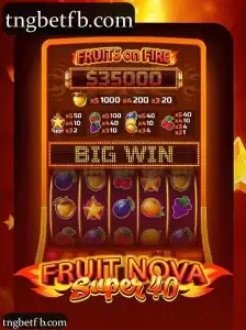 FruitNovaSuper40